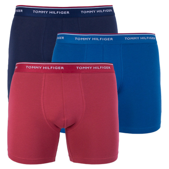 3PACK Boxershorts til mænd Tommy Hilfiger flerfarvet (UM0UM00010 071)