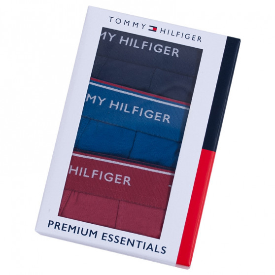 3PACK Boxershorts til mænd Tommy Hilfiger flerfarvet (UM0UM00010 071)