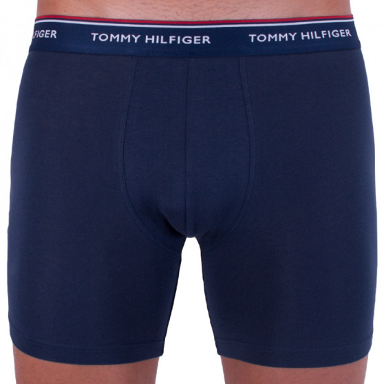 3PACK Boxershorts til mænd Tommy Hilfiger flerfarvet (UM0UM00010 071)