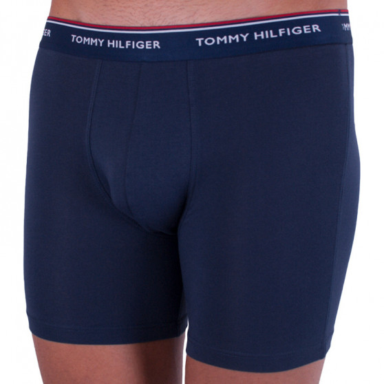 3PACK Boxershorts til mænd Tommy Hilfiger flerfarvet (UM0UM00010 071)