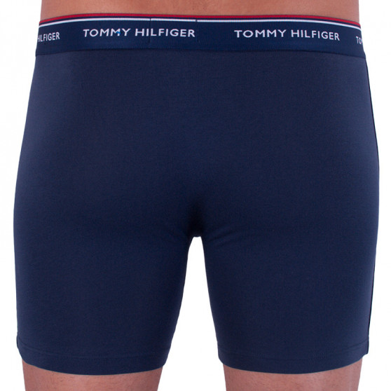 3PACK Boxershorts til mænd Tommy Hilfiger flerfarvet (UM0UM00010 071)