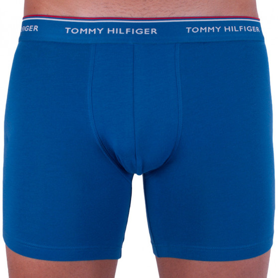 3PACK Boxershorts til mænd Tommy Hilfiger flerfarvet (UM0UM00010 071)