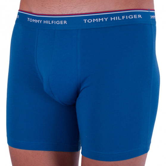 3PACK Boxershorts til mænd Tommy Hilfiger flerfarvet (UM0UM00010 071)