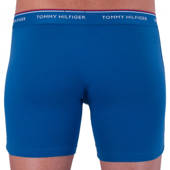 3PACK Boxershorts til mænd Tommy Hilfiger flerfarvet (UM0UM00010 071)