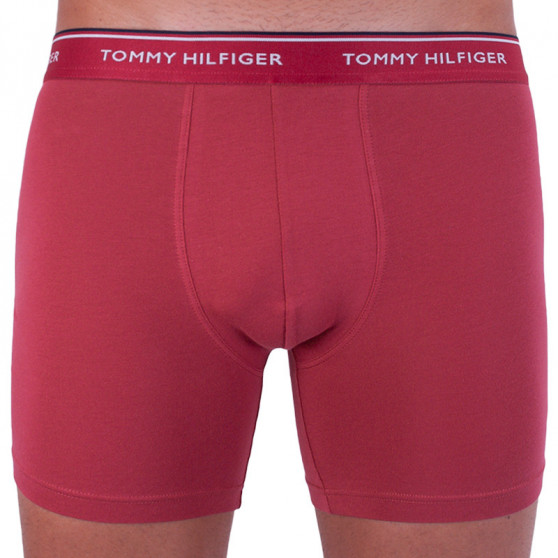 3PACK Boxershorts til mænd Tommy Hilfiger flerfarvet (UM0UM00010 071)