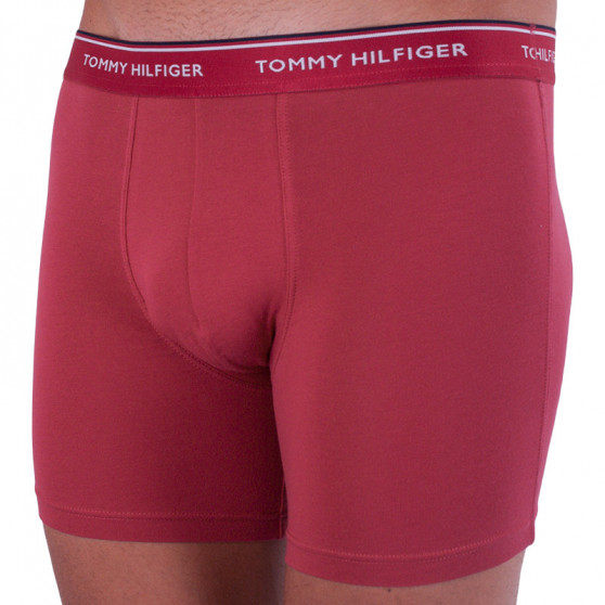 3PACK Boxershorts til mænd Tommy Hilfiger flerfarvet (UM0UM00010 071)