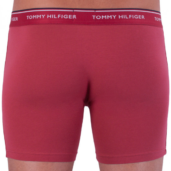 3PACK Boxershorts til mænd Tommy Hilfiger flerfarvet (UM0UM00010 071)