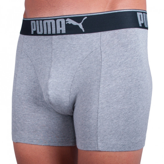 3PACK Boxershorts til mænd Puma grå (681030001 032)