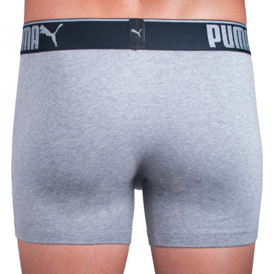 3PACK Boxershorts til mænd Puma grå (681030001 032)