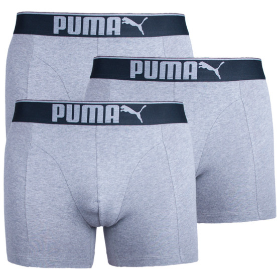 3PACK Boxershorts til mænd Puma grå (681030001 032)