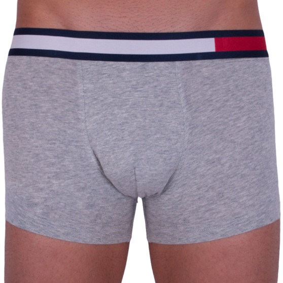 Boxershorts til mænd Tommy Hilfiger grå (UM0UM01370 004)