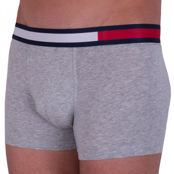 Boxershorts til mænd Tommy Hilfiger grå (UM0UM01370 004)