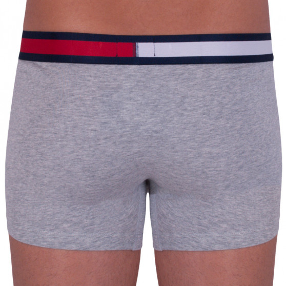 Boxershorts til mænd Tommy Hilfiger grå (UM0UM01370 004)