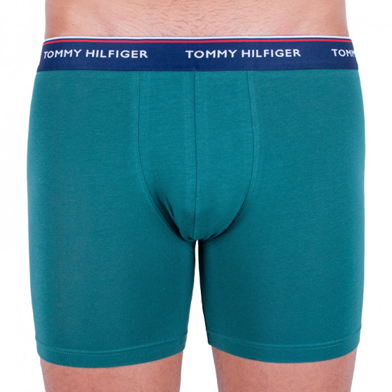 3PACK Boxershorts til mænd Tommy Hilfiger flerfarvet (UM0UM00010 052)