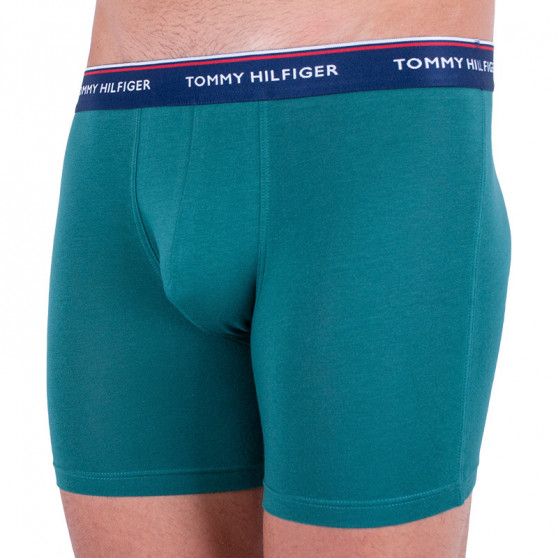 3PACK Boxershorts til mænd Tommy Hilfiger flerfarvet (UM0UM00010 052)