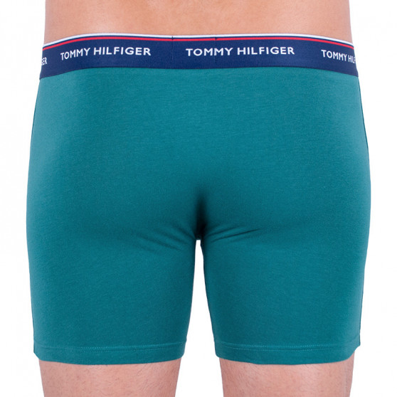 3PACK Boxershorts til mænd Tommy Hilfiger flerfarvet (UM0UM00010 052)