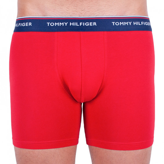 3PACK Boxershorts til mænd Tommy Hilfiger flerfarvet (UM0UM00010 052)