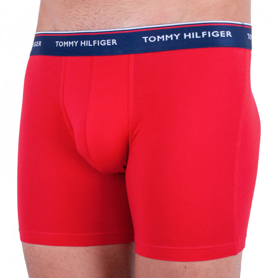 3PACK Boxershorts til mænd Tommy Hilfiger flerfarvet (UM0UM00010 052)