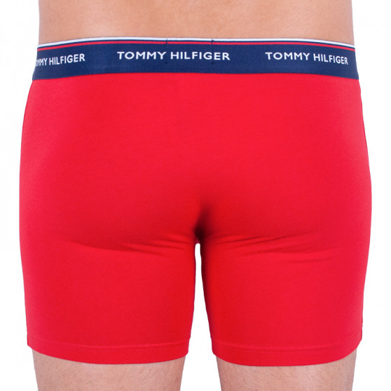 3PACK Boxershorts til mænd Tommy Hilfiger flerfarvet (UM0UM00010 052)