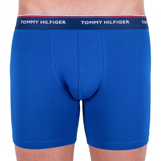 3PACK Boxershorts til mænd Tommy Hilfiger flerfarvet (UM0UM00010 052)