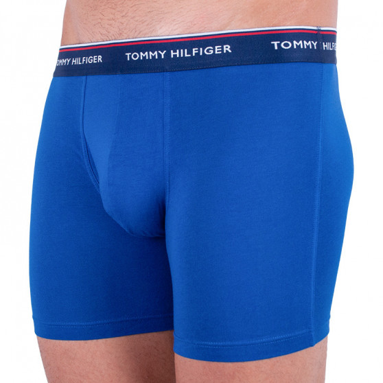 3PACK Boxershorts til mænd Tommy Hilfiger flerfarvet (UM0UM00010 052)