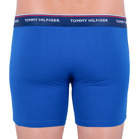 3PACK Boxershorts til mænd Tommy Hilfiger flerfarvet (UM0UM00010 052)