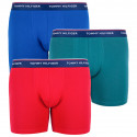 3PACK Boxershorts til mænd Tommy Hilfiger flerfarvet (UM0UM00010 052)