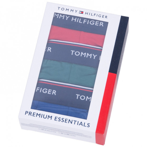 3PACK Boxershorts til mænd Tommy Hilfiger flerfarvet (UM0UM00010 052)