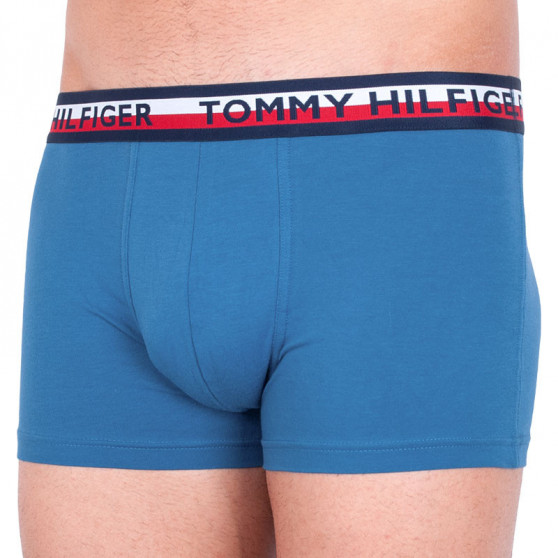 2PACK Boxershorts til mænd Tommy Hilfiger flerfarvet (UM0UM00746 006)