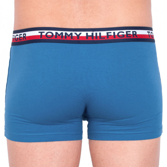 2PACK Boxershorts til mænd Tommy Hilfiger flerfarvet (UM0UM00746 006)