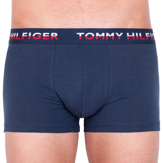 2PACK Boxershorts til mænd Tommy Hilfiger flerfarvet (UM0UM00746 006)