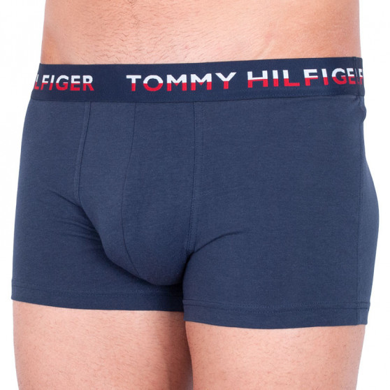 2PACK Boxershorts til mænd Tommy Hilfiger flerfarvet (UM0UM00746 006)