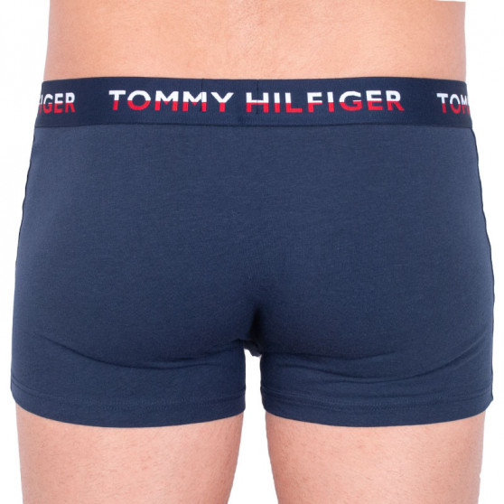 2PACK Boxershorts til mænd Tommy Hilfiger flerfarvet (UM0UM00746 006)