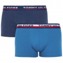 2PACK Boxershorts til mænd Tommy Hilfiger flerfarvet (UM0UM00746 006)