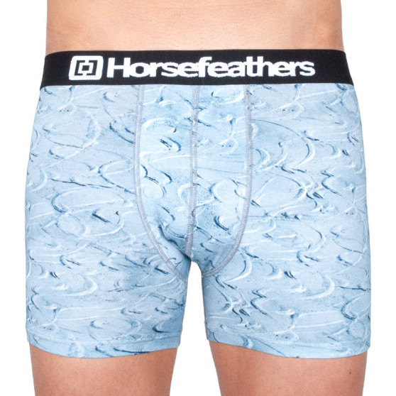 Boxershorts til mænd Horsefeathers Sidney turns (AM070J)