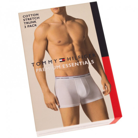 3PACK Boxershorts til mænd Tommy Hilfiger flerfarvet overstørrelse (1U87905252 004)