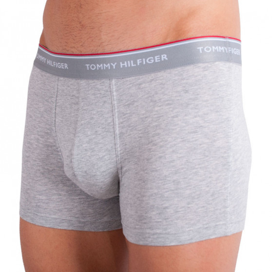 3PACK Boxershorts til mænd Tommy Hilfiger flerfarvet overstørrelse (1U87905252 004)