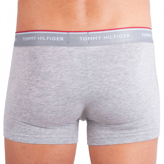 3PACK Boxershorts til mænd Tommy Hilfiger flerfarvet overstørrelse (1U87905252 004)