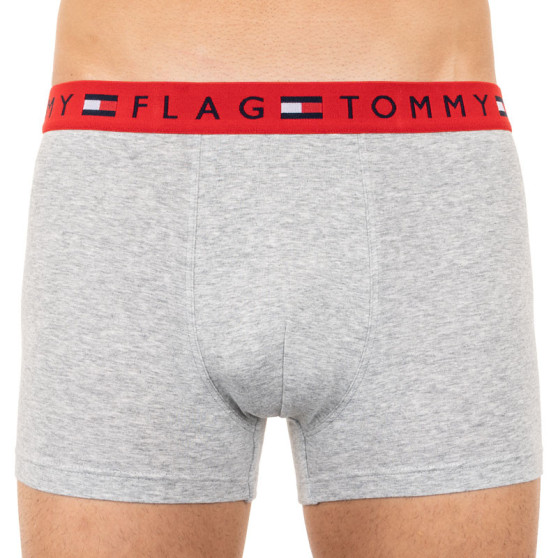 Boxershorts til mænd Tommy Hilfiger grå (UM0UM01367 004)