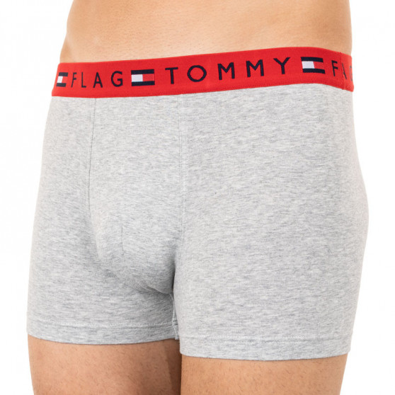 Boxershorts til mænd Tommy Hilfiger grå (UM0UM01367 004)