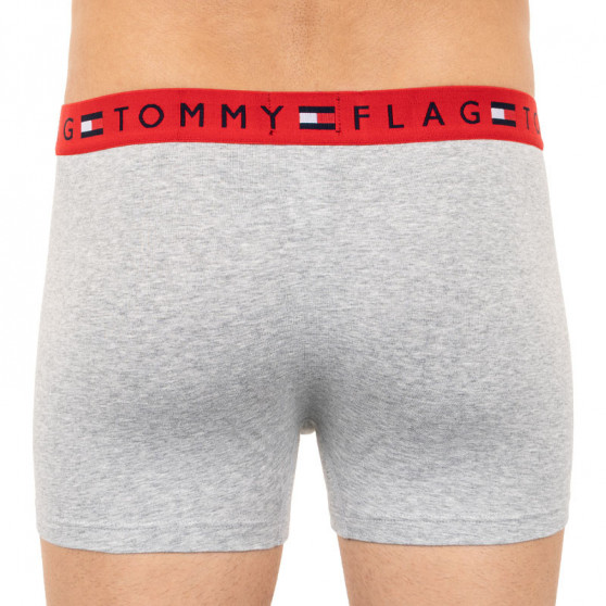 Boxershorts til mænd Tommy Hilfiger grå (UM0UM01367 004)