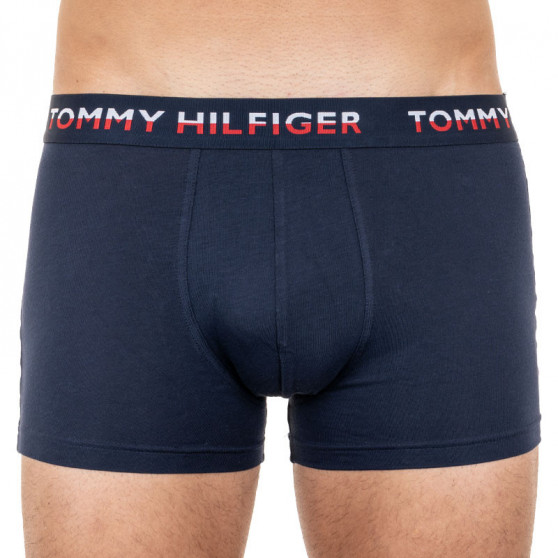 2PACK Boxershorts til mænd Tommy Hilfiger flerfarvet (UM0UM01233 088)