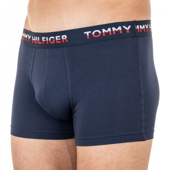 2PACK Boxershorts til mænd Tommy Hilfiger flerfarvet (UM0UM01233 088)