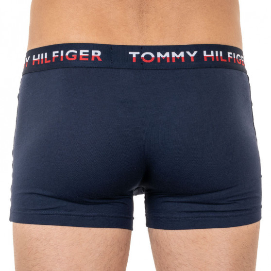 2PACK Boxershorts til mænd Tommy Hilfiger flerfarvet (UM0UM01233 088)