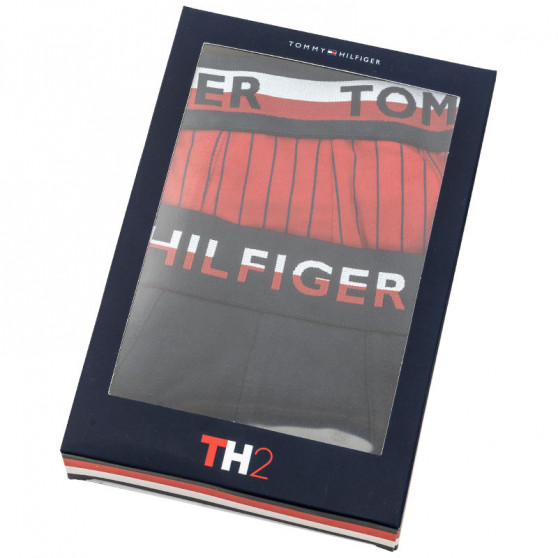 2PACK Boxershorts til mænd Tommy Hilfiger flerfarvet (UM0UM01233 088)