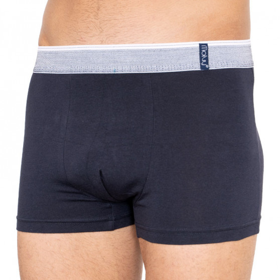 2PACK Boxershorts til mænd Molvy flerfarvet (KP-067-BEU)