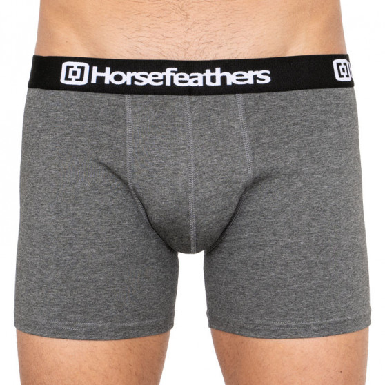 3PACK Boxershorts til mænd Horsefeathers Dynasty lyng antracit (AM067B)