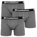 3PACK Boxershorts til mænd Horsefeathers Dynasty lyng antracit (AM067B)