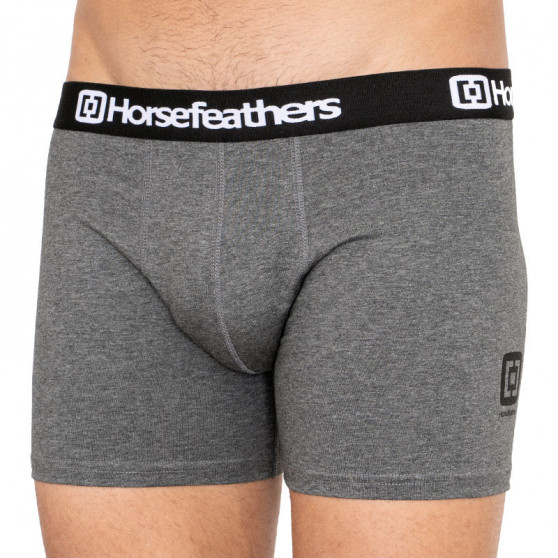 3PACK Boxershorts til mænd Horsefeathers Dynasty lyng antracit (AM067B)