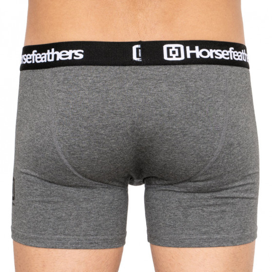 3PACK Boxershorts til mænd Horsefeathers Dynasty lyng antracit (AM067B)